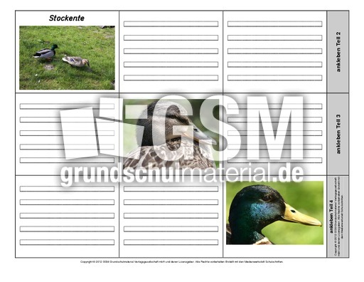 Leporello-Stockente-1-1-2.pdf